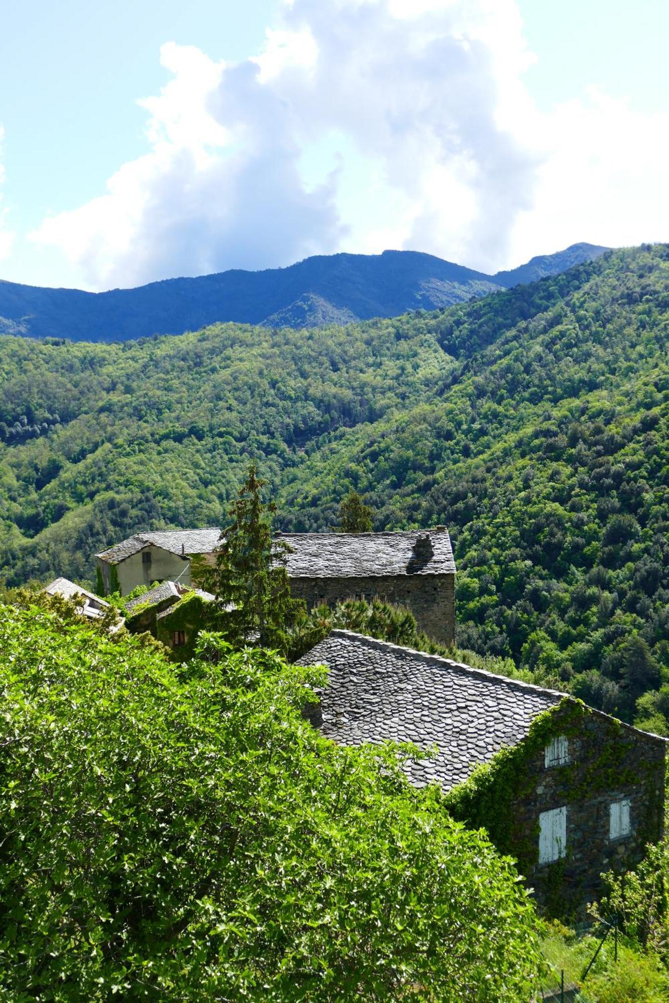 Bed and Breakfast Casa Surgente Carcheto Esterno foto